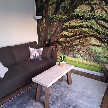 Apartament Natura Lidzbark Warmiński Buitenkant foto